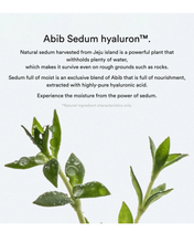 Load image into Gallery viewer, Abib Collagen Gel Mask/Sedum Jelly