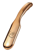 Load image into Gallery viewer, LT Nano Metal Foot File
